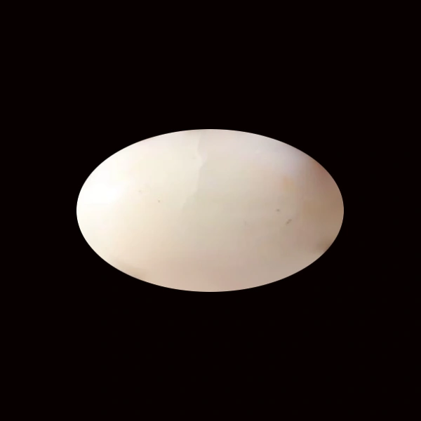 White Coral - 5.98 carats